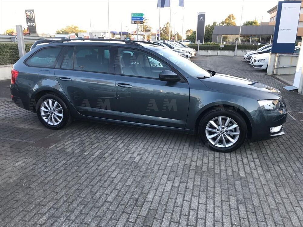 Skoda Octavia Station Wagon usata a Treviso (4)