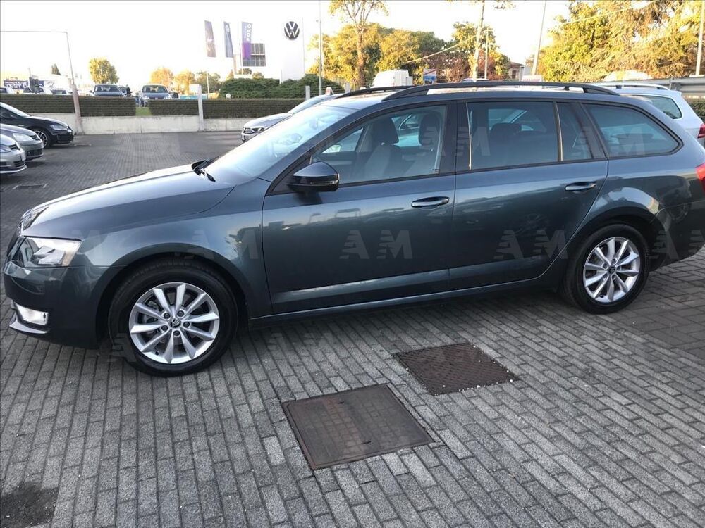 Skoda Octavia Station Wagon usata a Treviso (8)