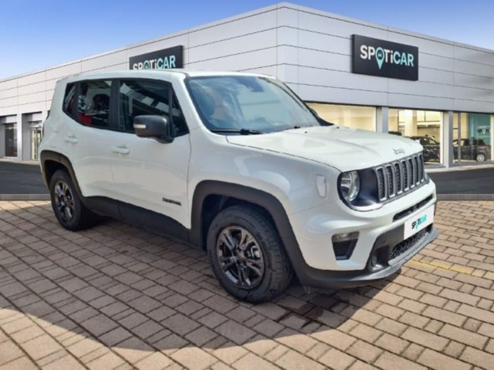 Jeep Renegade usata a Monza e Brianza (3)