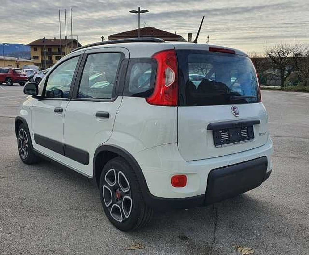 Fiat Panda usata a Treviso (4)