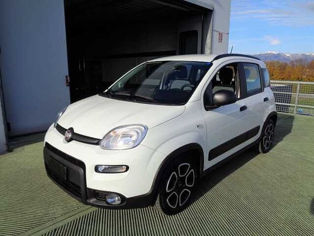 Fiat Panda usata a Treviso