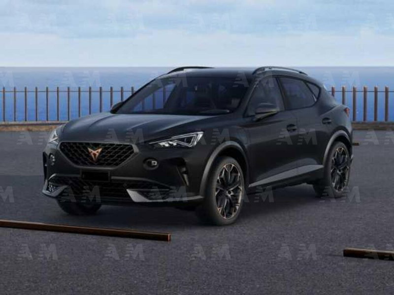 Cupra Formentor usata a Padova