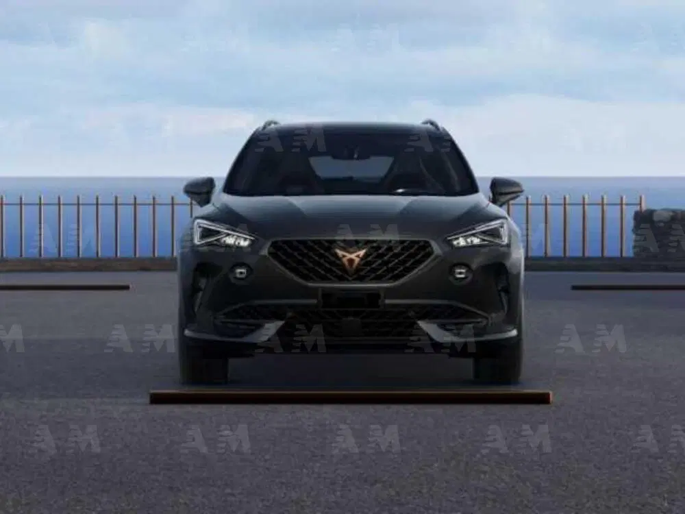 Cupra Formentor usata a Padova (2)