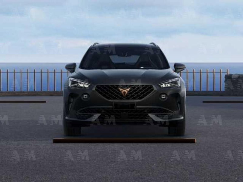 Cupra Formentor usata a Padova (2)