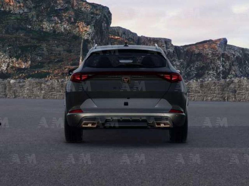 Cupra Formentor usata a Padova (5)