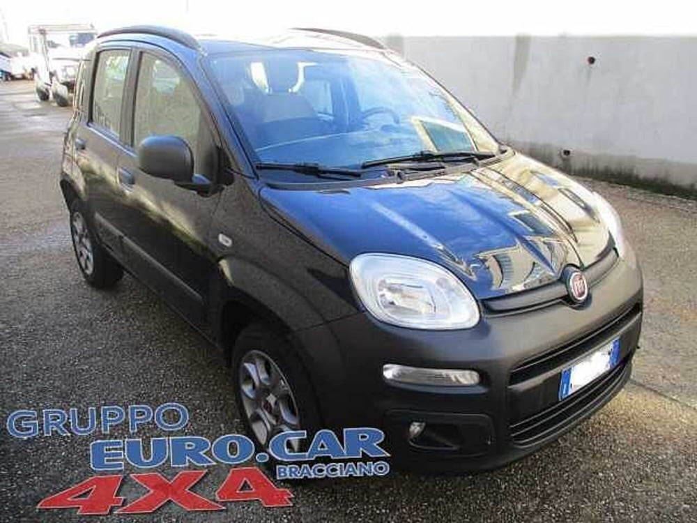 Fiat Panda usata a Roma (3)