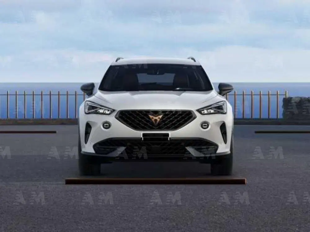 Cupra Formentor nuova a Padova (3)