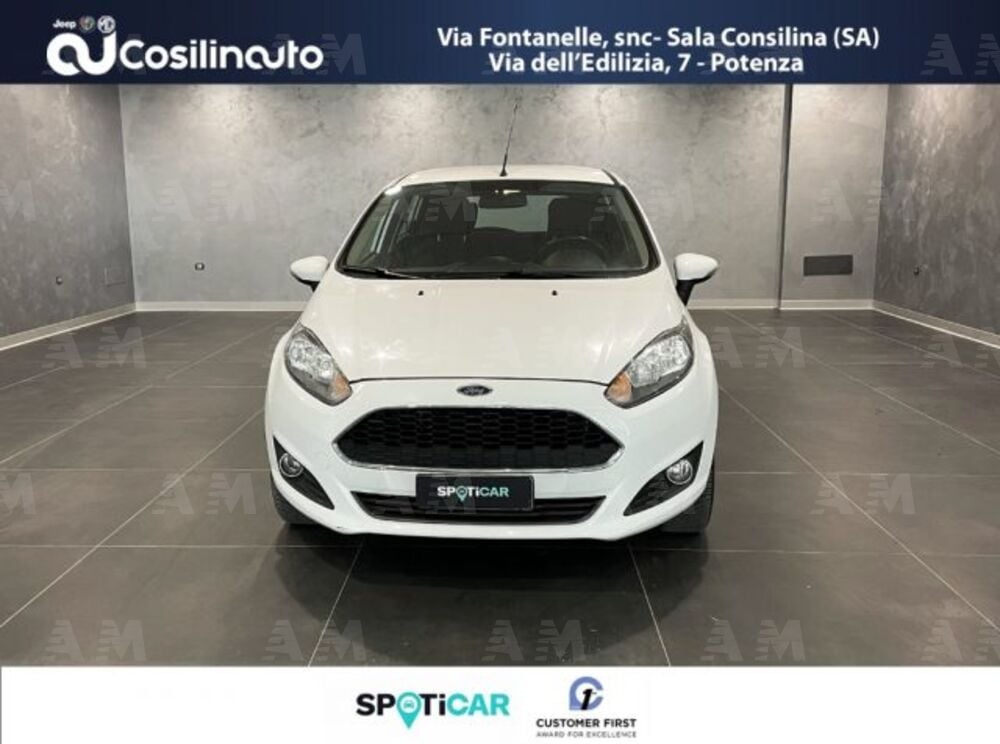 Ford Fiesta usata a Salerno (2)