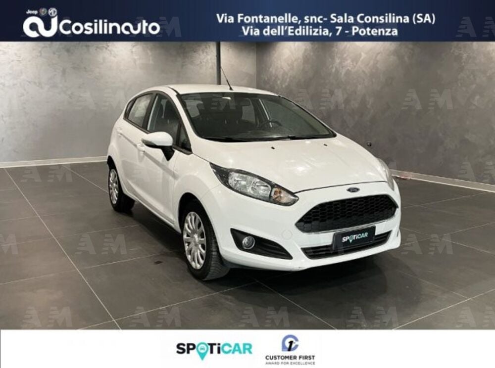 Ford Fiesta usata a Salerno (3)