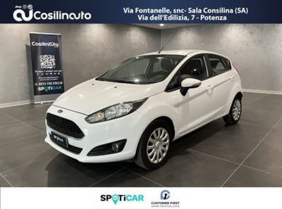 Ford Fiesta 1.4 5 porte Bz.- GPL del 2017 usata a Sala Consilina