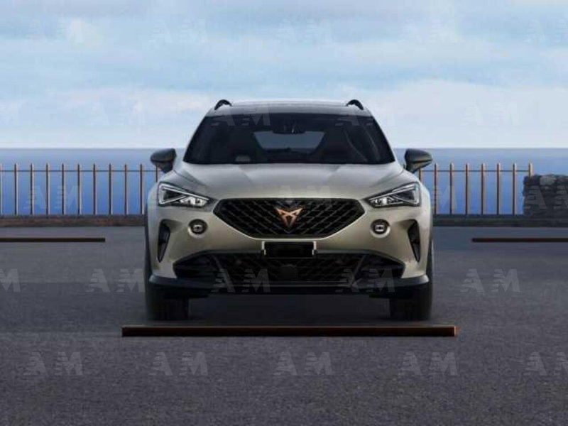 Cupra Formentor nuova a Padova (2)