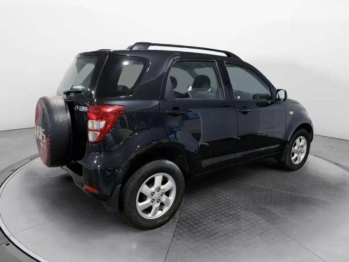 Daihatsu Terios usata a Torino (4)