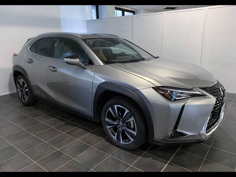 Lexus UX usata a Torino (2)