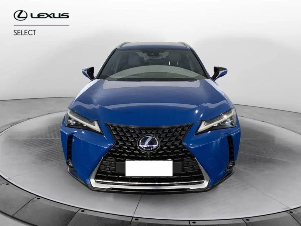 Lexus UX usata a Torino (2)