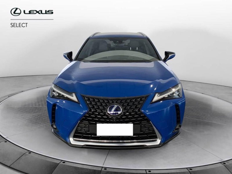 Lexus UX usata a Torino (2)