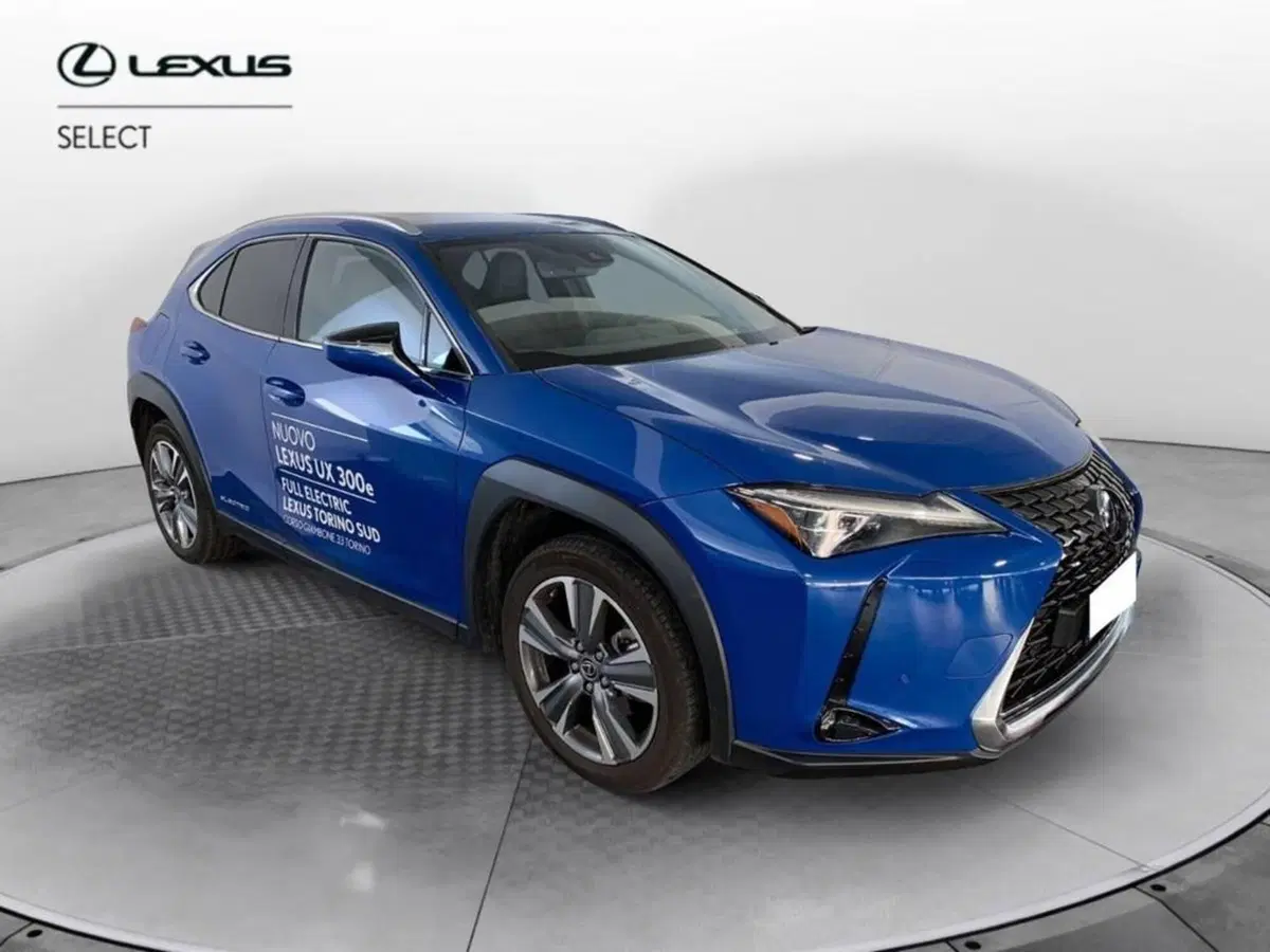 Lexus UX usata a Torino (3)