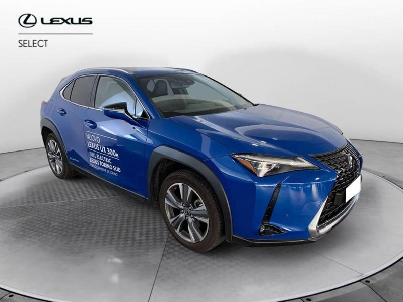 Lexus UX usata a Torino (3)