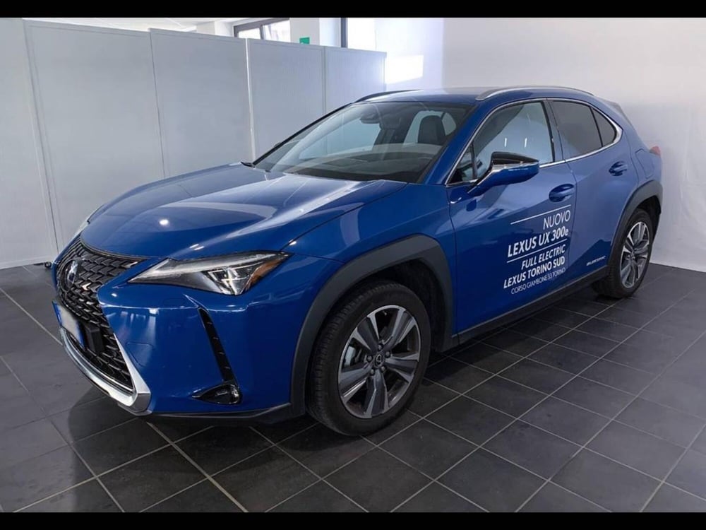 Lexus UX usata a Torino (2)