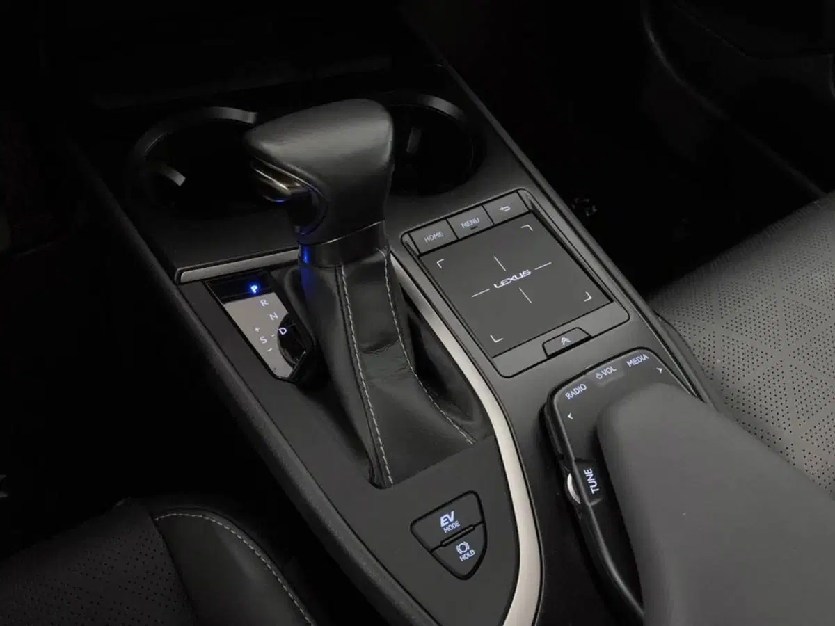 Lexus UX usata a Torino (9)