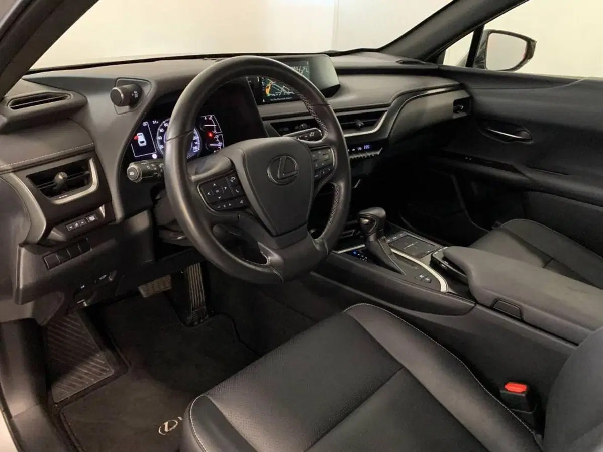 Lexus UX usata a Torino (10)