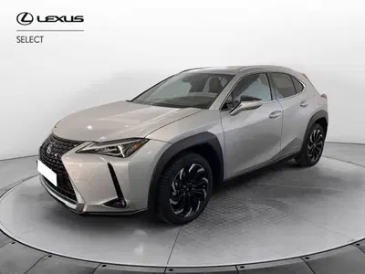 Lexus UX Hybrid 4WD Premium del 2019 usata a Torino