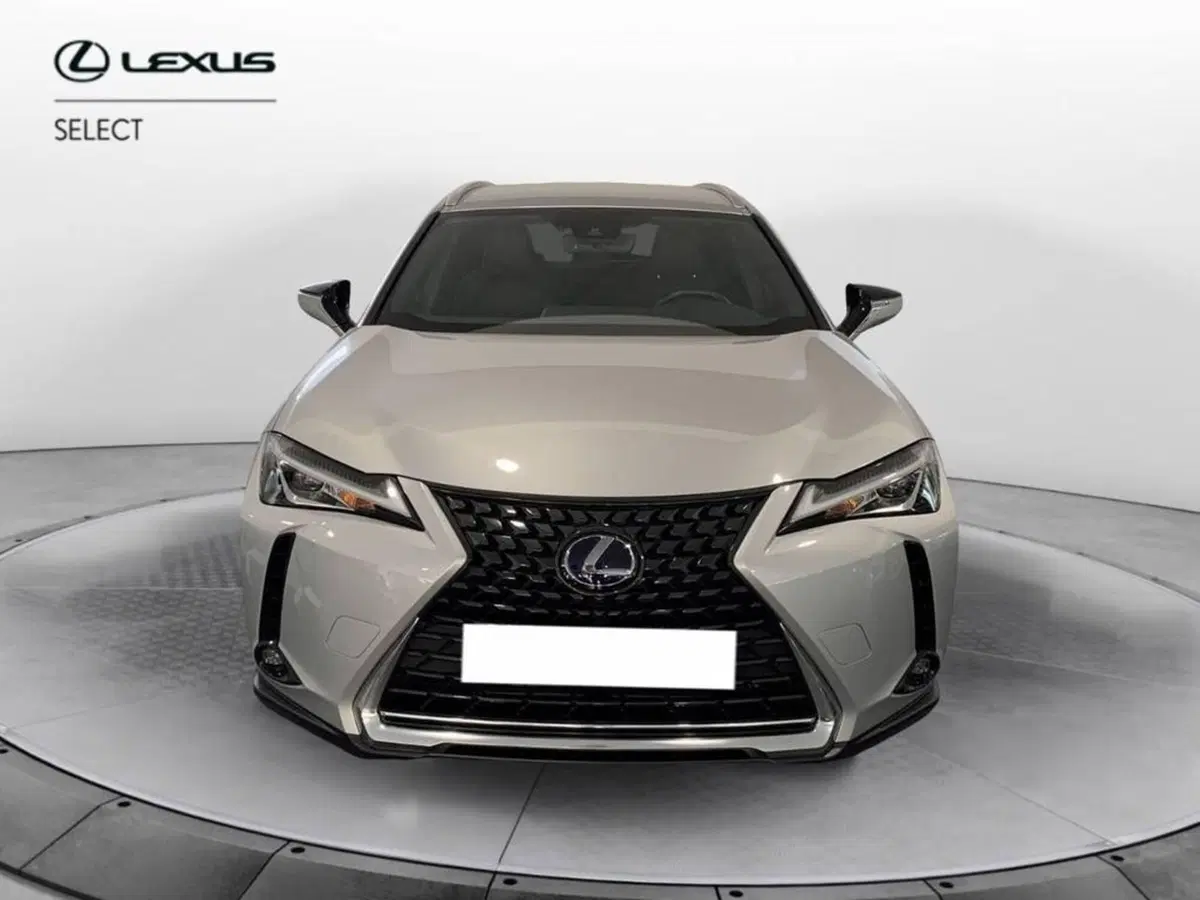 Lexus UX usata a Torino (2)