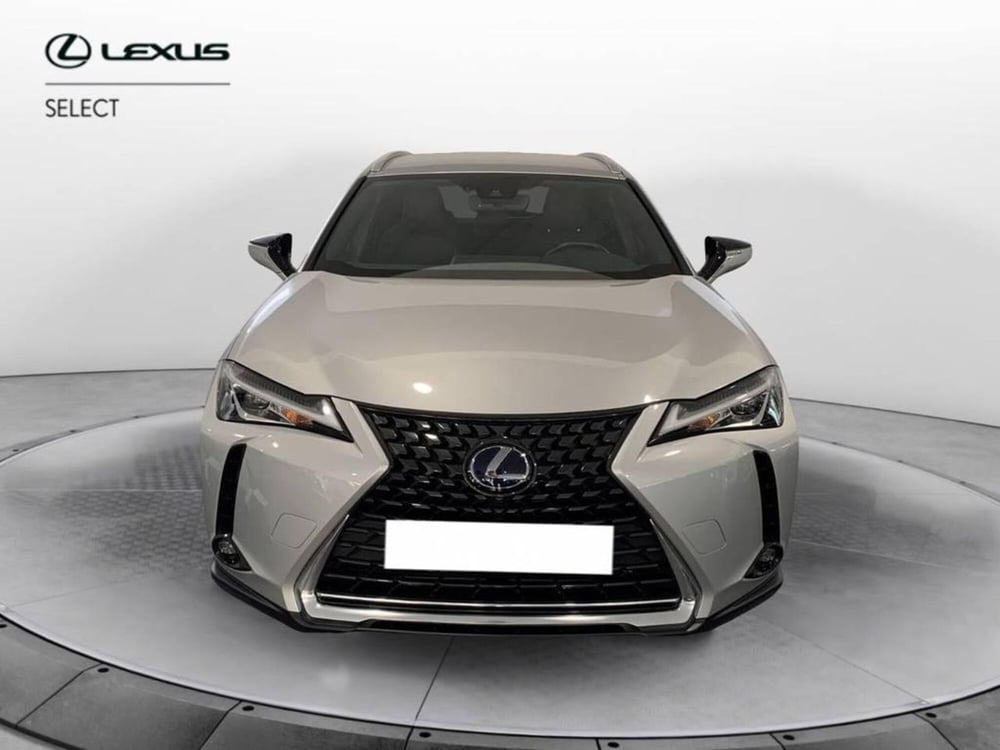Lexus UX usata a Torino (2)