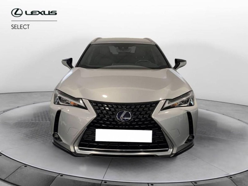Lexus UX usata a Torino (2)