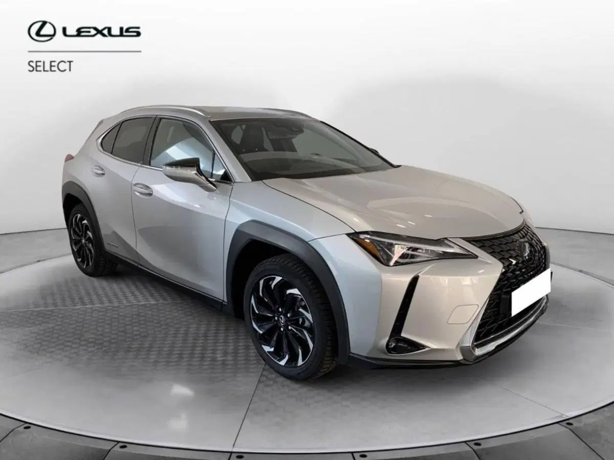 Lexus UX usata a Torino (3)