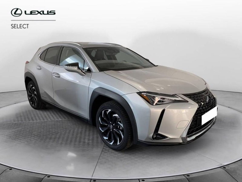 Lexus UX usata a Torino (3)