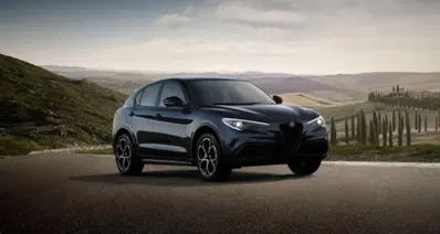 Alfa Romeo Stelvio Stelvio 2.2 Turbodiesel 210 CV AT8 Q4 Veloce nuova a Bastia Umbra