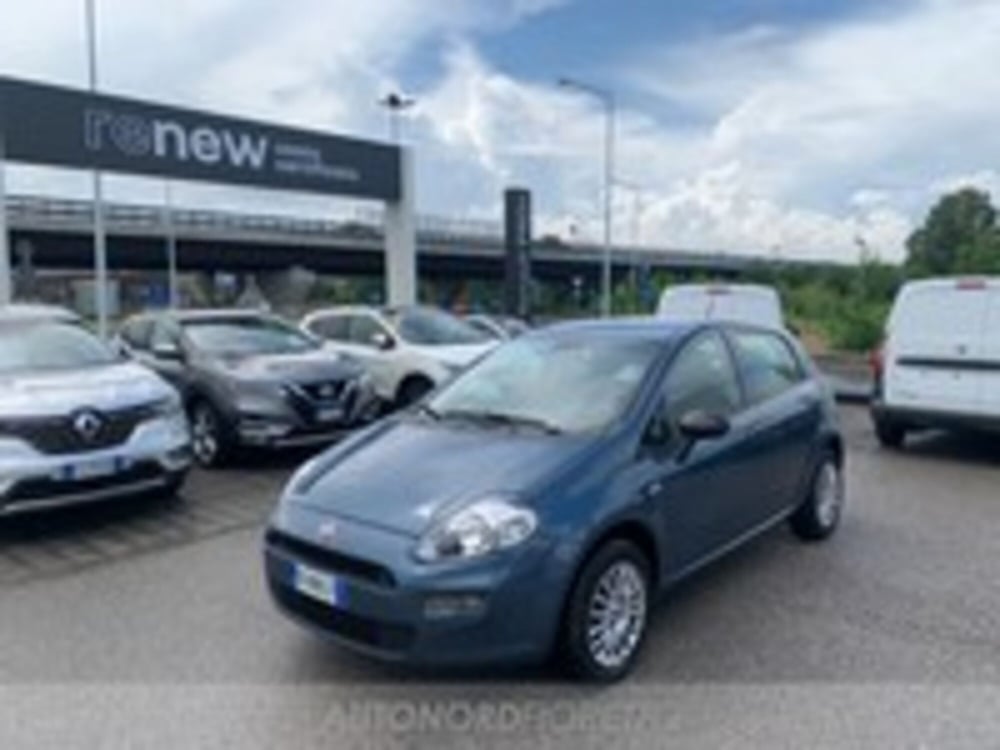 Fiat Punto usata a Pordenone