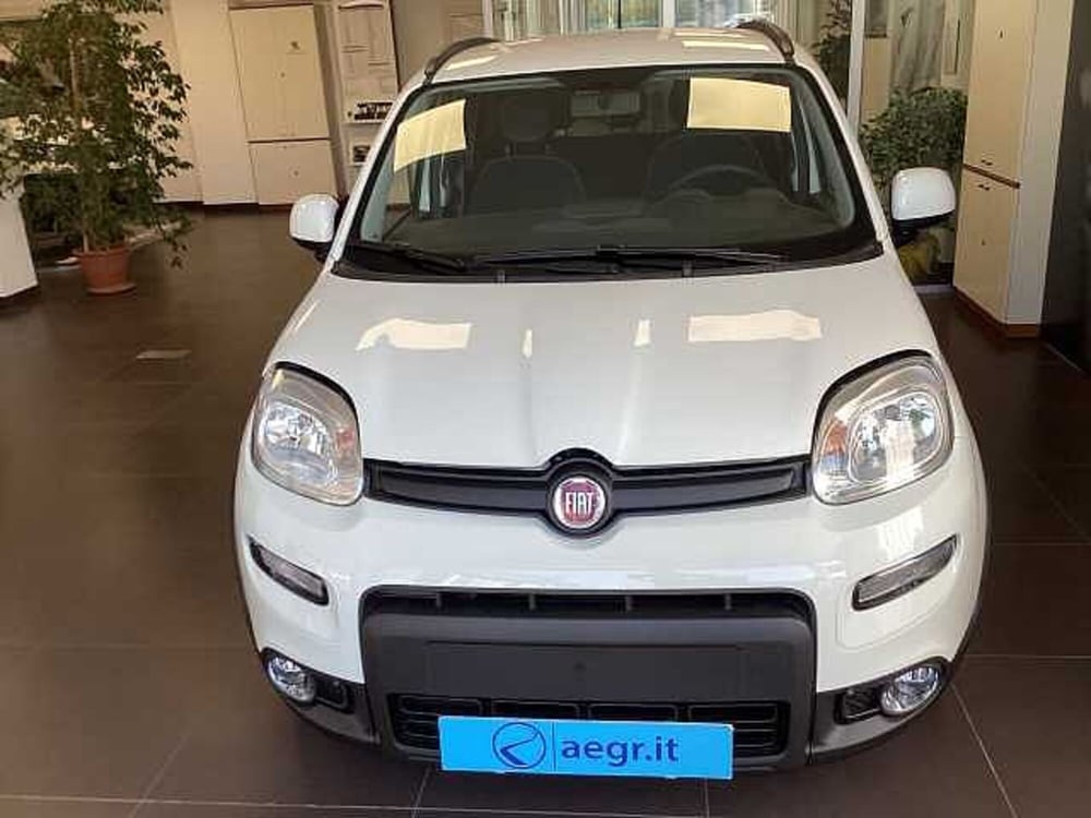 Fiat Panda Cross nuova a Roma (2)