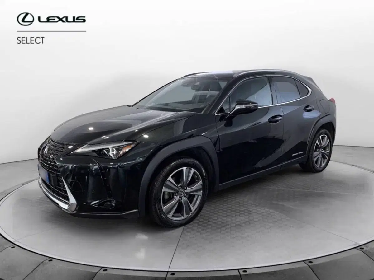 Lexus UX usata a Torino