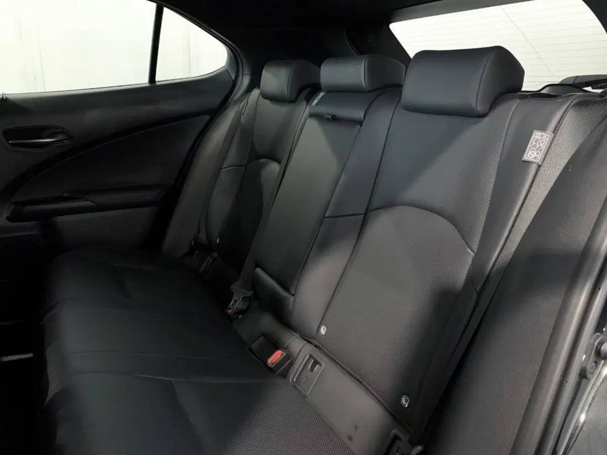 Lexus UX usata a Torino (14)