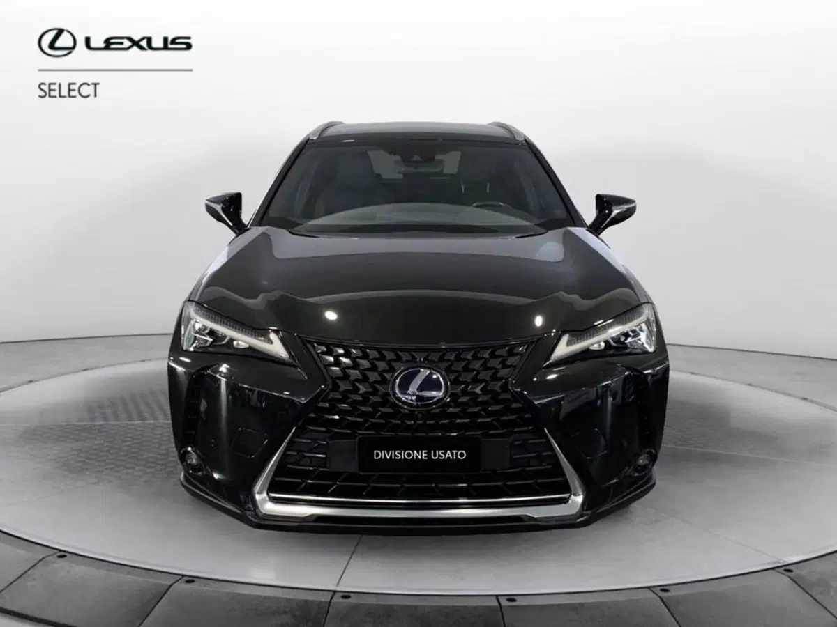 Lexus UX usata a Torino (2)