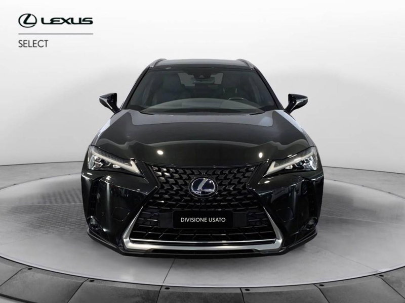 Lexus UX usata a Torino (2)