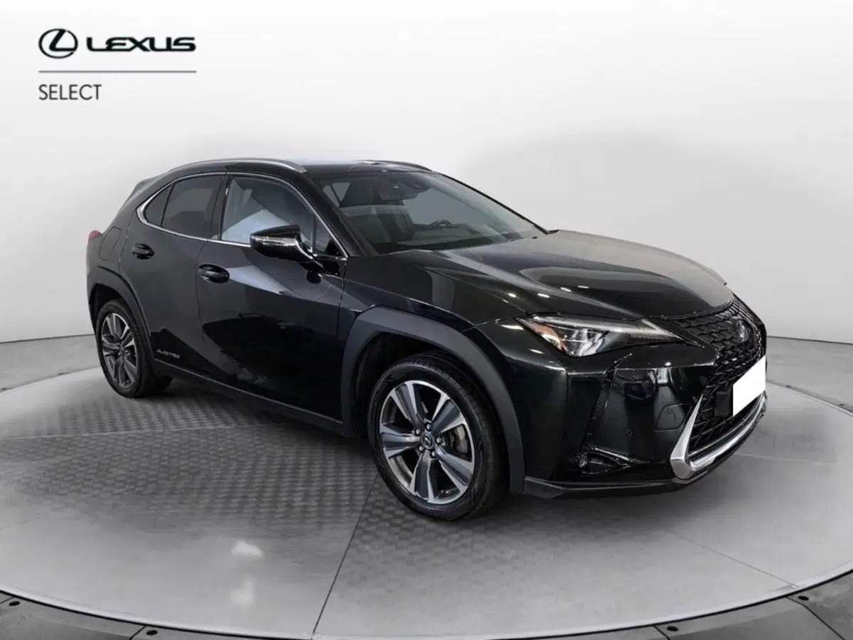 Lexus UX usata a Torino (3)
