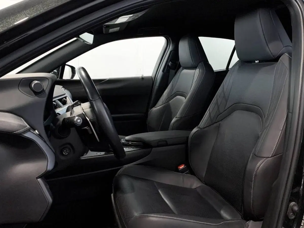 Lexus UX usata a Torino (13)