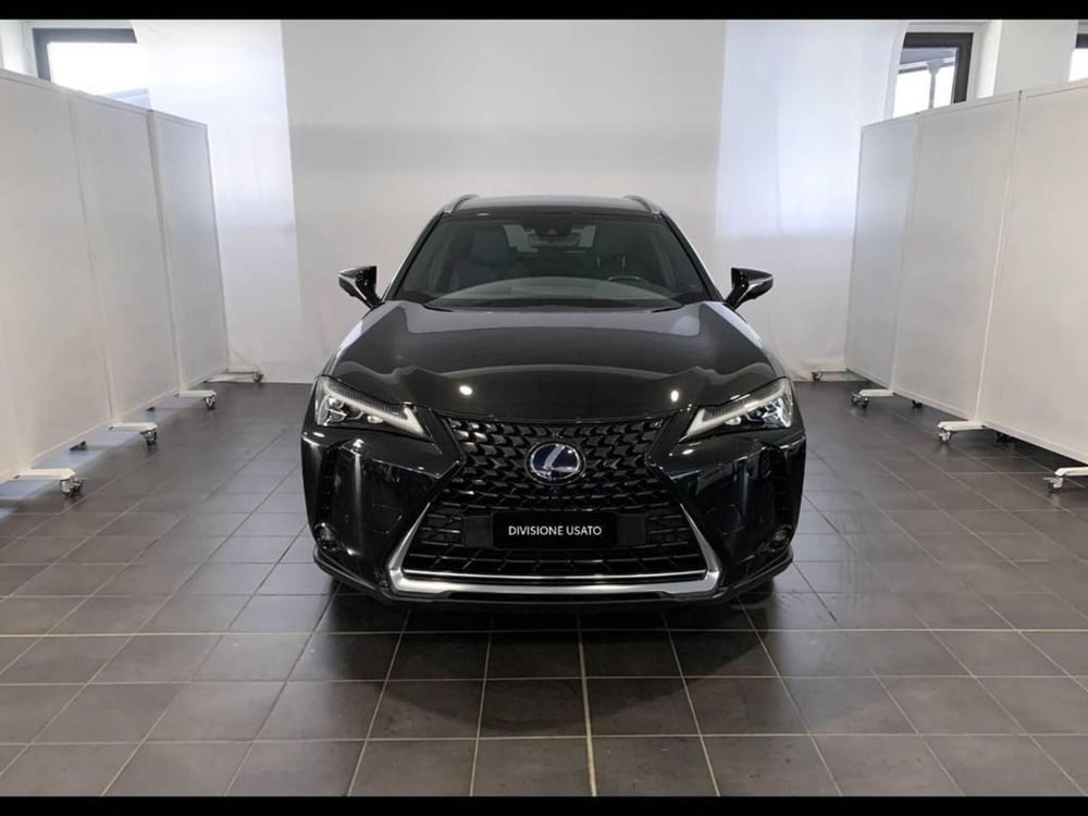 Lexus UX usata a Torino