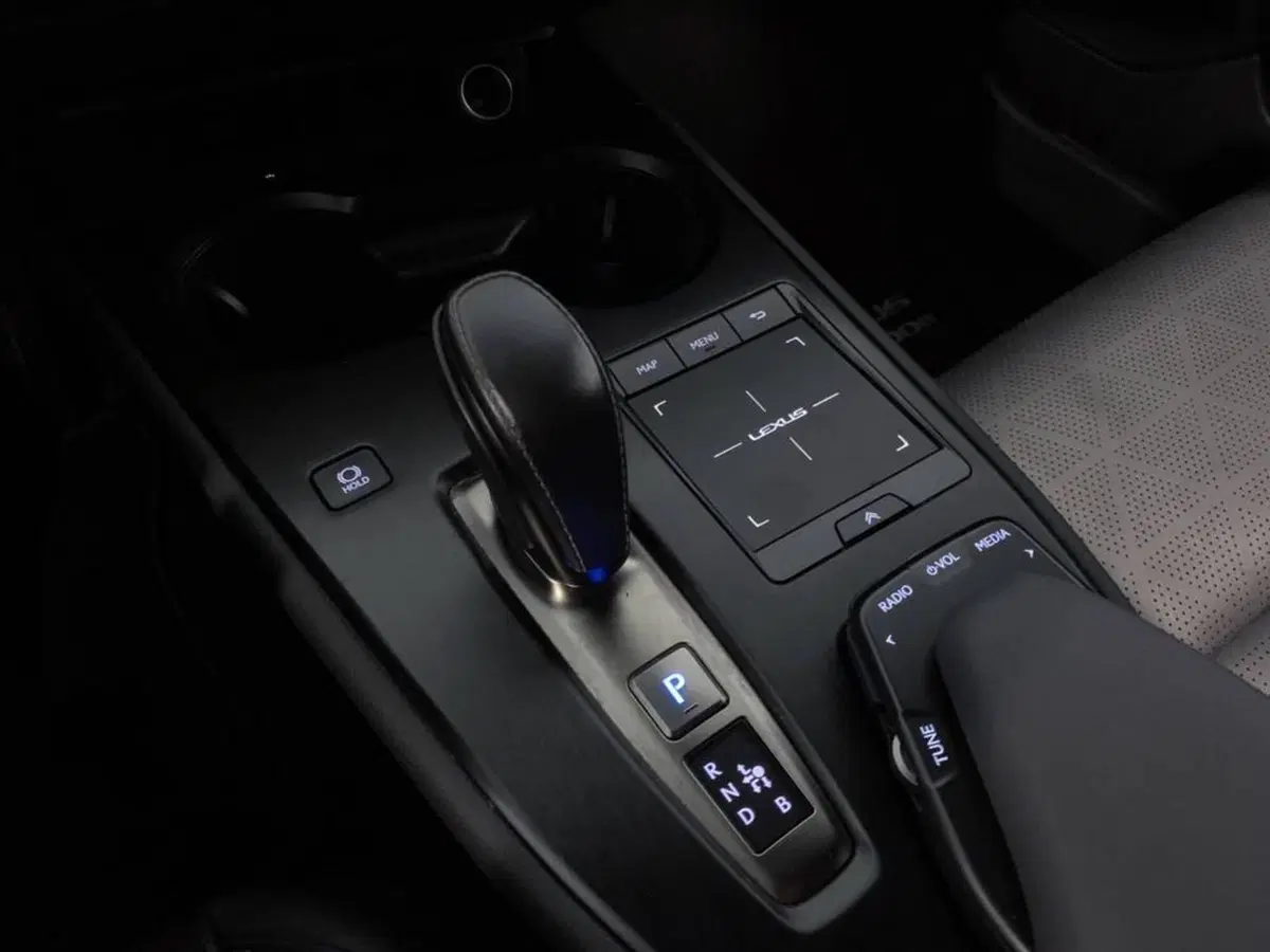 Lexus UX usata a Torino (8)