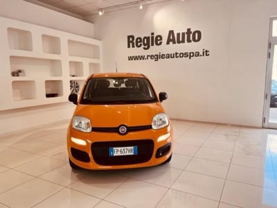 Fiat Panda 1.2 Easy  del 2018 usata a Viterbo