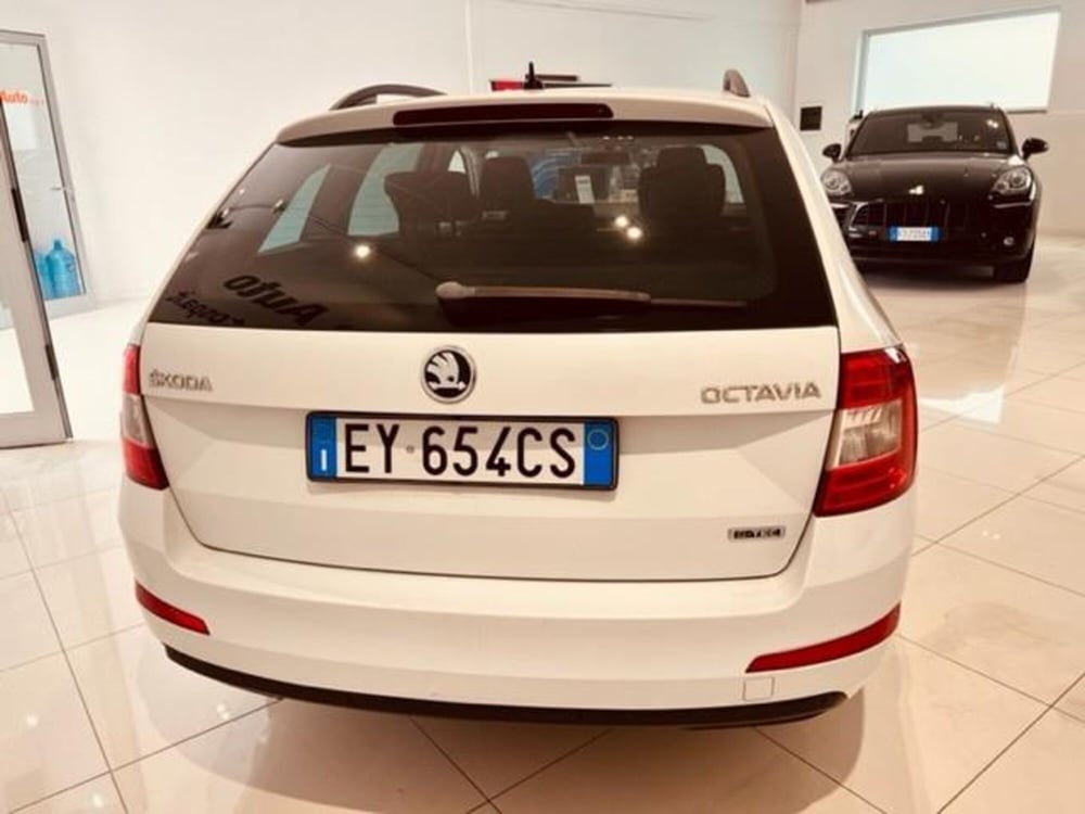 Skoda Octavia Station Wagon usata a Viterbo (3)