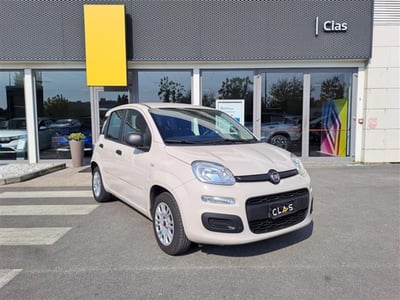 Fiat Panda 1.2 Easy  del 2017 usata a Livorno