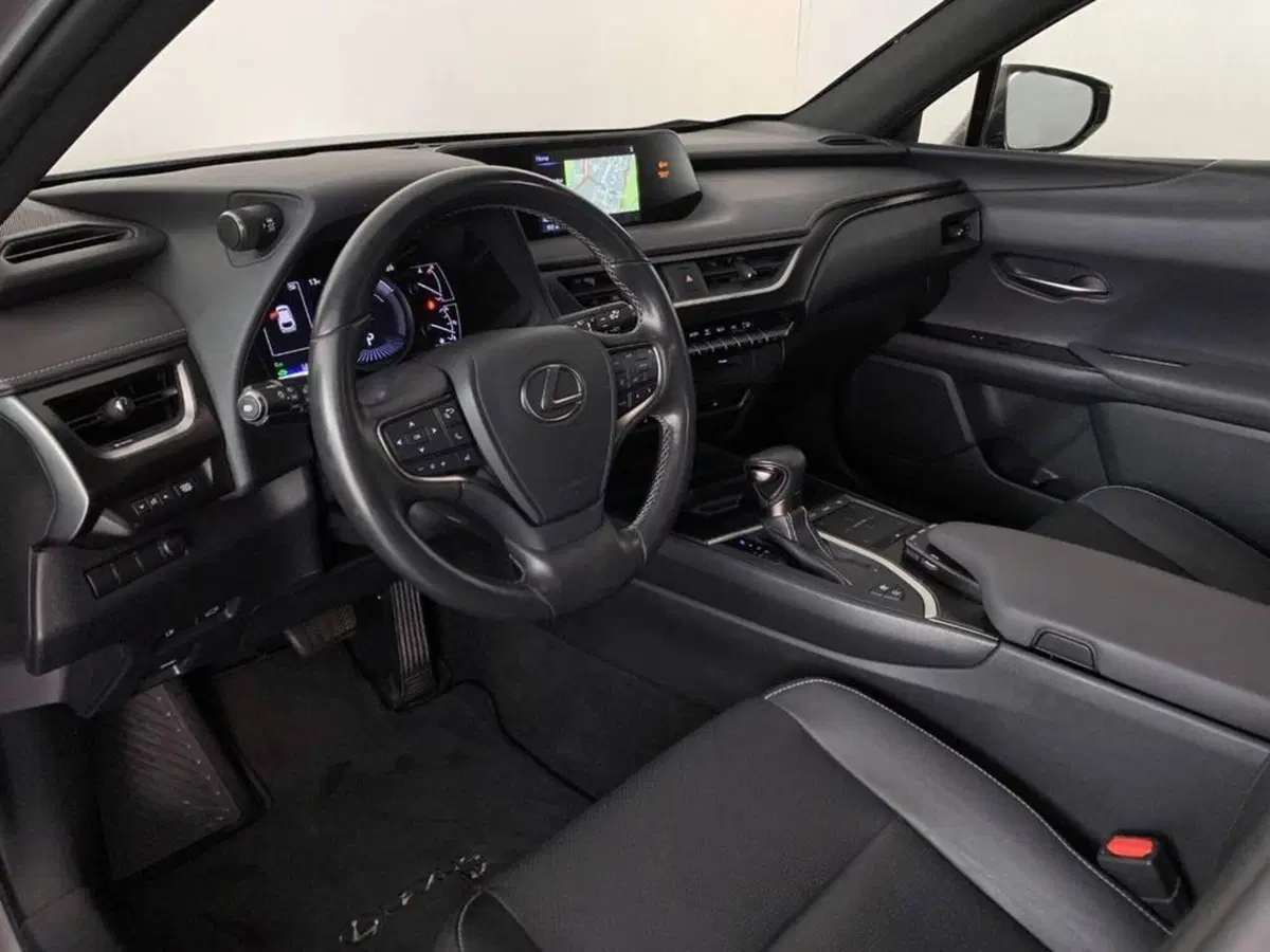 Lexus UX usata a Torino (12)