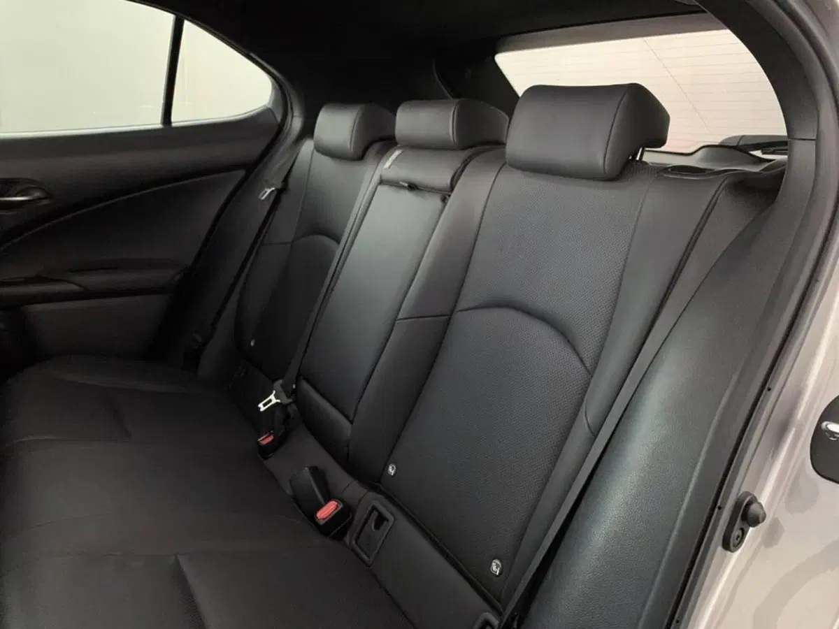Lexus UX usata a Torino (13)