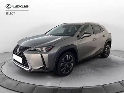 Lexus UX 300e 72,8kWh Luxury del 2019 usata a Torino