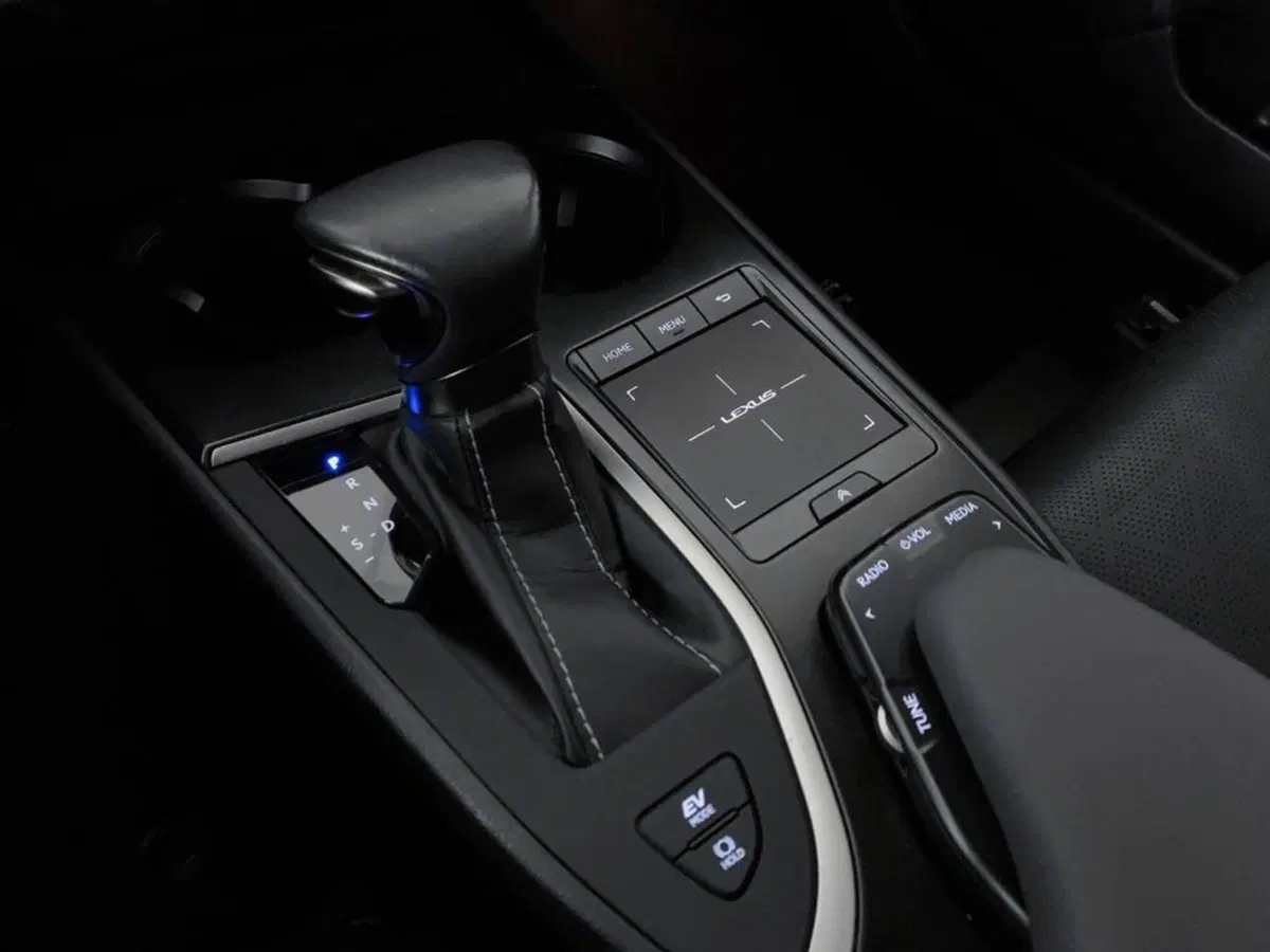 Lexus UX usata a Torino (9)