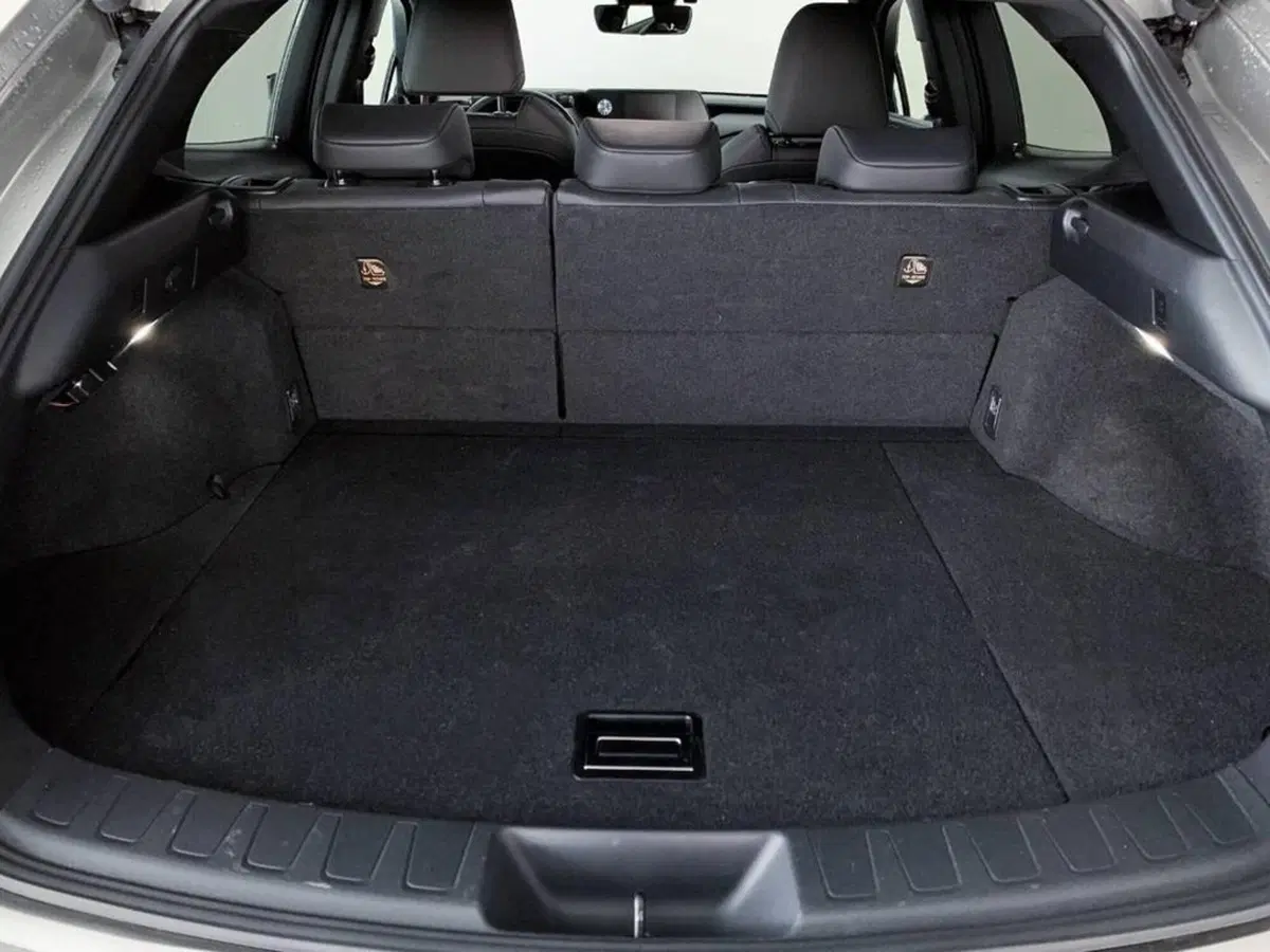Lexus UX usata a Torino (14)