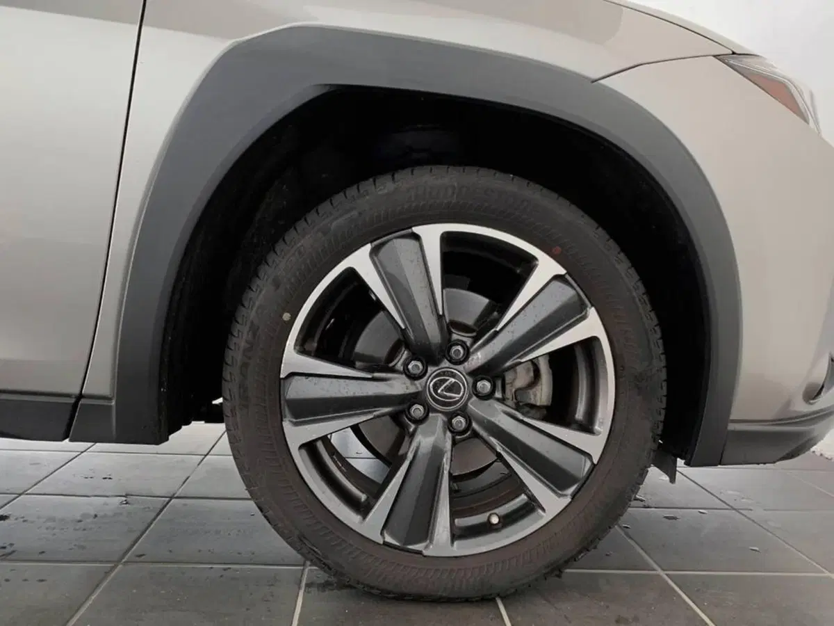Lexus UX usata a Torino (6)